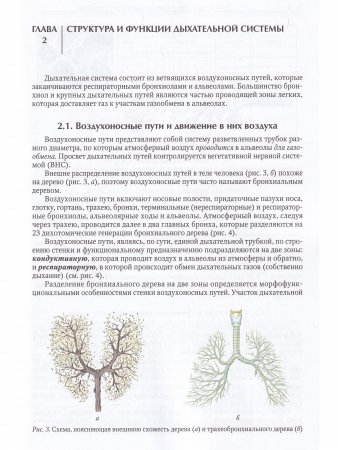 Физиология легочного дыхания.Учебное пособие