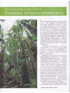 Растительный покров Земли