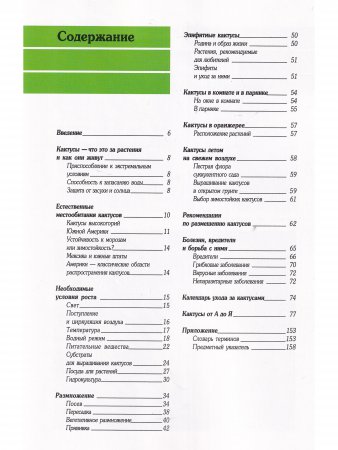 Кактусы в нашем доме