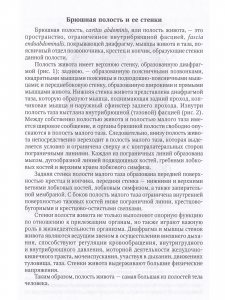 Клиническая анатомия стенок брюшной полости.Грыжи живота