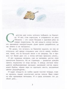 Заяц в море. Рассказы о Северной Камчатке