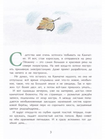 Книга Заяц в море. Рассказы о Северной Камчатке