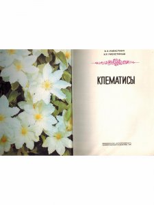 Книга Клематисы