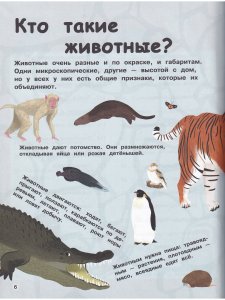 Дикие животные. Отправляйтесь в удивительный мир! Книга открытий