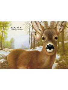 Книга Лесные животные в натуральную величину