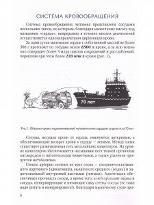 Основы кардиохирургии для менеджеров, не имеющих медицинского образования
