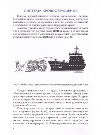 Основы кардиохирургии для менеджеров, не имеющих медицинского образования