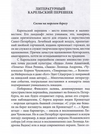 Неполнота времени. Писатели на Карельском