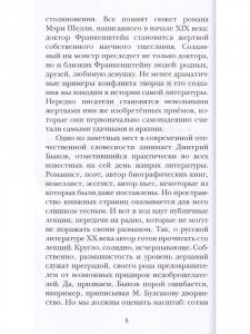 Большая чи(с)тка : эссе
