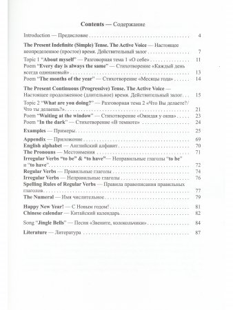 English: the Basics of Grammar/ Английский язык: основы грамматики: Учебное пособие, (книжка-раскраска) для занятий взрослых с детьми