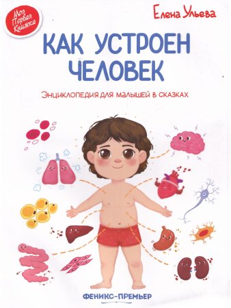 Как Устроен Человек