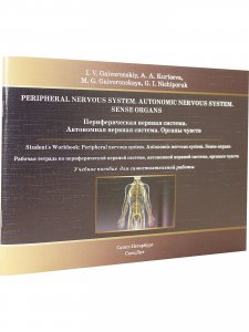 Периферическая нервная система. Автономная нервная система. Органы чувств. Рабочая тетрадь на англ.языке