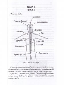 Книга Комментарии к кунта-йоге