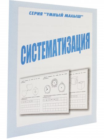 Систематизация. Умный малыш.  Рабочая тетрадь