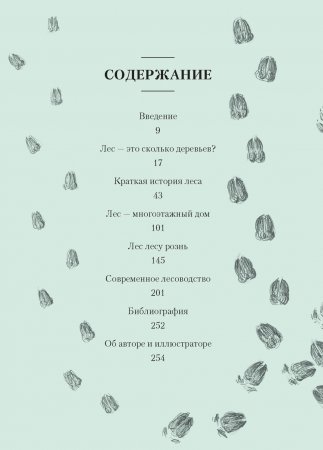Лес. Как устроена лесная экосистема