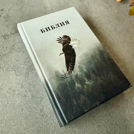 Библия 048 код 25048-55 дизайн, цветная печать"орел", твердый пер.,