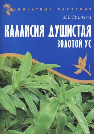 Книга Каллисия душистая Золотой ус