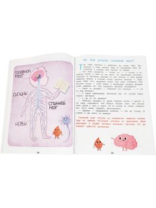 Как Устроен Человек