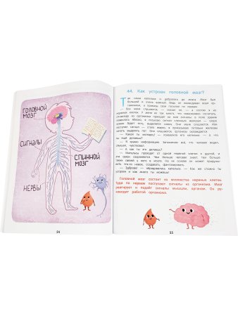 Как Устроен Человек