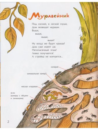 Гнёзда, дупла и берлоги