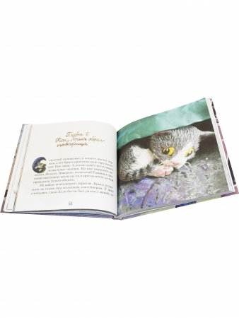 Приключения котёнка Брыся