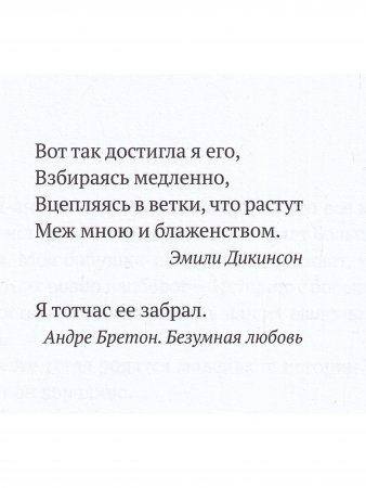 Ложка