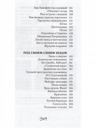Книга Охотничья избушка