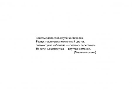 Картотека предметных картинок. Выпуск 7. Первоцветы, полевые, луговые, садовые цветы. 3-7 лет.(Новый формат) ФГОС. Наглядный дидактический материал.