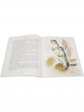 Книга Заяц в море. Рассказы о Северной Камчатке