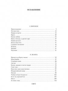 Молодые годы короля Генриха IV