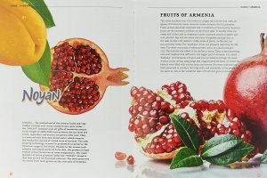 Карманная книга Icons of Armenia (Английский язык)