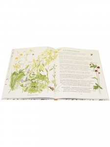 Книга Цветочная книга шмеля