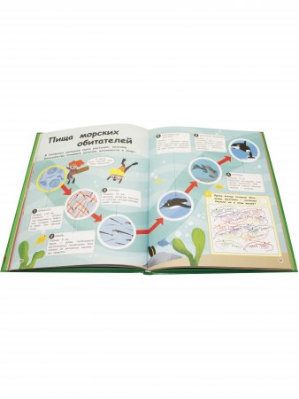 Дикие животные. Отправляйтесь в удивительный мир! Книга открытий
