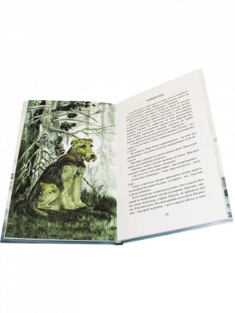 У нас на Крайнем Севере