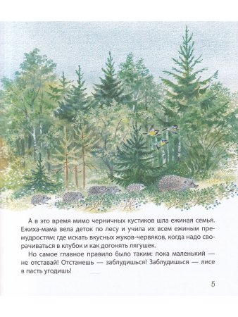 Самый маленький ежик.