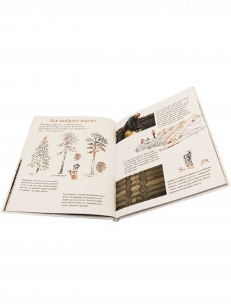Книга Крестьянские хоромы