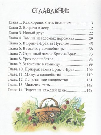 Пленник замка Брик-а-Брак