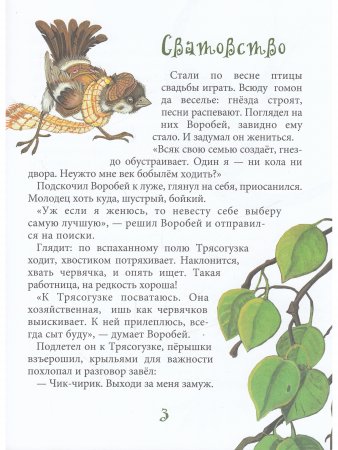 Лесные истории