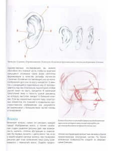 Школа художника: Портрет