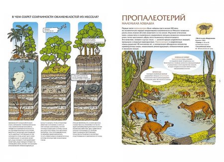 Животные затерянного мира