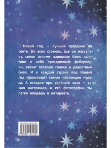 Зеленый кот и чудеса под Новый год