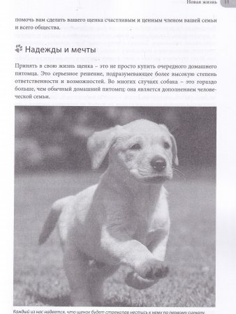 Книга Счастливый щенок. Полное руководство по уходу и раннему воспитанию