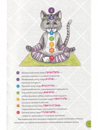Йогабук (кошка)
