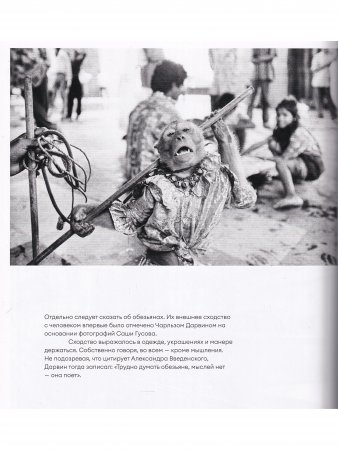 Краткая история Цивилизации