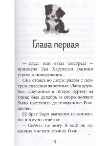 Снежное расследование