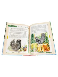 Красная книга для детей