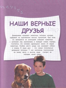 Домашние животные