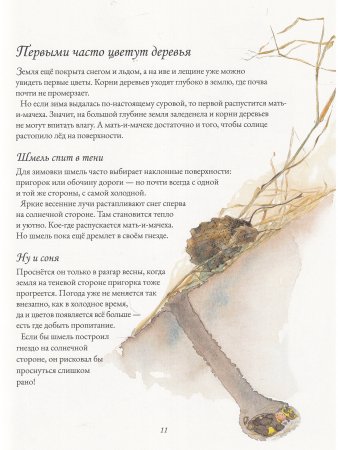 Цветочная книга шмеля