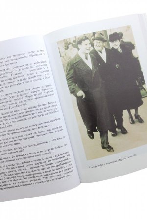 Притяжение синевы (книга+диск)