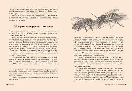 Пчелы. Что человек и пчела значат друг для друга
